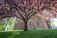 Neubukow Kirche