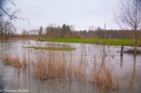 Hochwasser